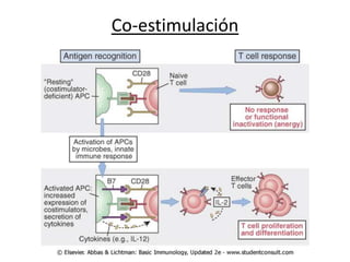 Co-estimulación
 