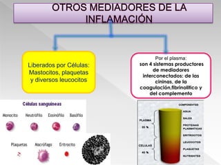 Extravasación  de los linfocitosExtravasación de los neutrofiloslosSubconjuntos de población  tienen diferentes patrones de direccionamiento o tráficoLos cualesReceptores de direccionamiento, que dirigen la circulación de las poblaciones hacia tejidos y sitios de inflamacion particularesEstán mediados  por combinaciones únicas de moléculas  de adhesión y quimiocinas.Y también