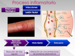 OTROS MEDIADORES DE LA INFLAMACIÓNLiberados por Células:Mastocitos, plaquetas y diversos leucocitosPor el plasma: son 4 sistemas productores de mediadores interconectados: de las cininas, de la coagulación,fibrinolitico y del complemento 