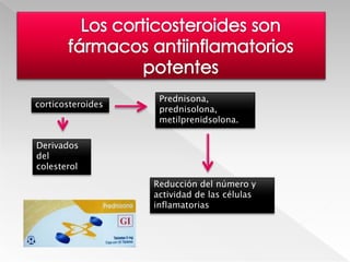 FibrosisProceso en el cual se desarrolla un tipo de tejido cicatrizal en los sitios de inflamación crónica. Puede interferir en el funcionamiento tisular normal. Fibrosis quística