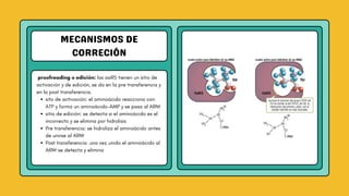 Aars Proofreading Activación de aminoácidos traducción biología molecular | PDF