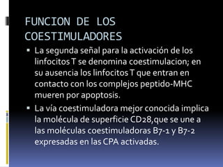FUNCION DE LOS
COESTIMULADORES
 La segunda señal para la activación de los
linfocitosT se denomina coestimulacion; en
su ausencia los linfocitosT que entran en
contacto con los complejos peptido-MHC
mueren por apoptosis.
 La vía coestimuladora mejor conocida implica
la molécula de superficie CD28,que se une a
las moléculas coestimuladoras B7-1 y B7-2
expresadas en las CPA activadas.
 