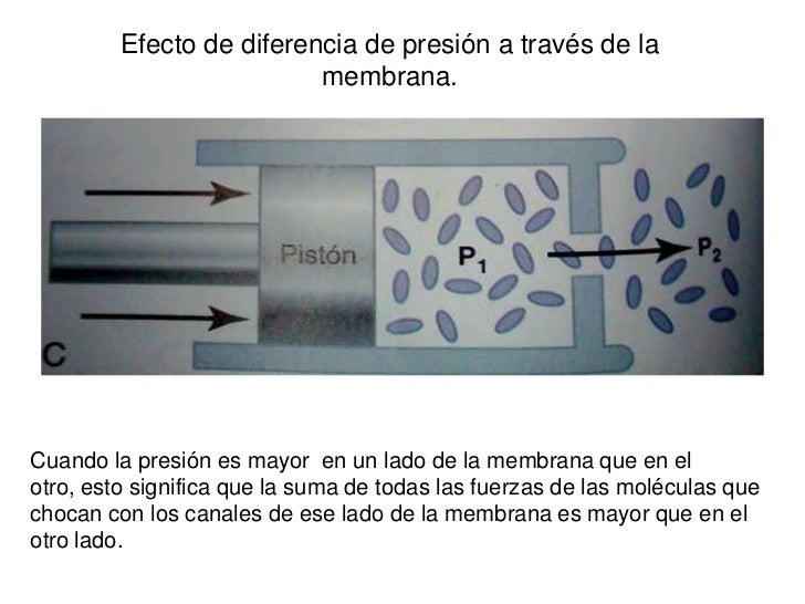 Resultado de imagen para diferencia de presion a traves de la membrana piston