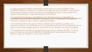La industria pesquera origina contaminación marina grave en sectores definidos (Paita,
Chimbote, Huarmey, Casma) por el vertimiento de aguas de cola, de bombeo y soda cáustica
directamente al mar, por lo que se produce la alteración de las aguas y la mortandad de las
especies. Este problema es especialmente grave en Chimbote.
v La explotación de petróleo, especialmente en la Amazonía norte, es responsable de
contaminación por derrames esporádicos de petróleo y por el vertimiento de las aguas de
formación, cargadas de sales y ciertos compuestos metálicos.
v El vertimiento directo de aguas servidas o residuales de las ciudades y pueblos a los
ambientes acuáticos y sin tratamiento previo, es el problema más grave de contaminación de las
aguas en todo el país, porque apenas se trata el 25% de los efluentes y en forma incompleta.
v Es ampliamente conocida la contaminación que generan las refinerías de Hilo y La Oroya,
que está en proceso de solución definitiva; y las industrias de transformación de pescado
(harina y aceite) en Chimbote y otras zonas del litoral.
 