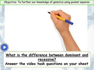 Objective: To further our knowledge of genetics using punnet squares.
What is the difference between dominant and
recessive?
Answer the video task questions on your sheet
 