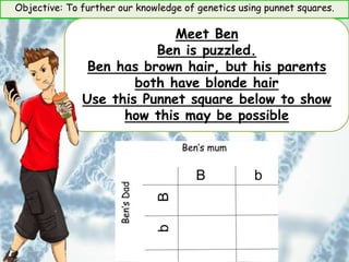 Objective: To further our knowledge of genetics using punnet squares.
Meet Ben
Ben is puzzled.
Ben has brown hair, but his parents
both have blonde hair
Use this Punnet square below to show
how this may be possible
 