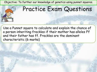 Objective: To further our knowledge of genetics using punnet squares.
Practice Exam Questions
Use a Punnet square to calculate and explain the chance of
a person inheriting freckles if their mother has alleles Ff
and their father has ff. Freckles are the dominant
characteristic (6 marks)
 