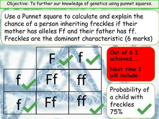 Objective: To further our knowledge of genetics using punnet squares.
F
f ff
Ff ff
f
Use a Punnet square to calculate and explain the
chance of a person inheriting freckles if their
mother has alleles Ff and their father has ff.
Freckles are the dominant characteristic (6 marks)
f
Ff Probability of
a child with
freckles
75%
Out of 6 I
achieved……
Next time I
will include:
 