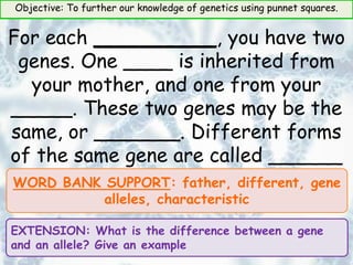 Objective: To further our knowledge of genetics using punnet squares.
For each __________, you have two
genes. One ____ is inherited from
your mother, and one from your
_____. These two genes may be the
same, or _______. Different forms
of the same gene are called ______
WORD BANK SUPPORT: father, different, gene
alleles, characteristic
EXTENSION: What is the difference between a gene
and an allele? Give an example
 