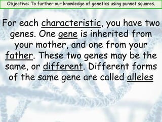 Objective: To further our knowledge of genetics using punnet squares.
For each characteristic, you have two
genes. One gene is inherited from
your mother, and one from your
father. These two genes may be the
same, or different. Different forms
of the same gene are called alleles
 