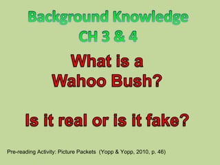 Pre-reading Activity: Picture Packets  (Yopp & Yopp, 2010, p. 46)  