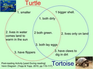 Turtle Tortoise 1. smaller 2. lives in water  comes land to  warm in the sun 3. have flippers 1. both dirty 1 bigger shell. 2 both green. 2. lives only on land 3. both lay eggs 3. have claws to dig in dirt Post-reading Activity [used During reading] Venn Diagram  (Yopp & Yopp, 2010, pp.115-117)  