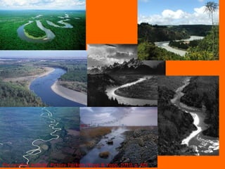 Pre-reading Activity: Picture Packets (Yopp & Yopp, 2010, p. 46)  