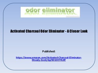 Activated Charcoal Odor Eliminator - A Closer Look
Published:
https://www.amazon.com/Activated-Charcoal-Eliminator-
Moody-Zook/dp/B01DEYRLBY
 
