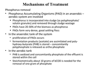Mechanisms of Treatment
Phosphorus removal
• Phosphorus Accumulating Organisms (PAO) in an anaerobic –
aerobic system are ...