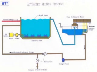 Biological Treatment of Wastewater by Activated Sludge Process | PPTX
