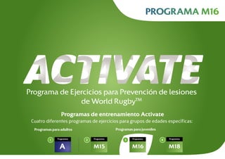 Cuatro diferentes programas de ejercicios para grupos de edades específicas:
Programas de entrenamiento Activate
Programas para adultos Programas para juveniles
PROGRAMA M16
A M16
431
M18
2
M15
Programma Programma ProgrammaProgramma
Programa de Ejercicios para Prevención de lesiones
de World RugbyTM
 