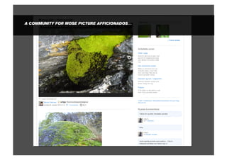 A COMMUNITY FOR MOSE PICTURE AFFICIONADOS…
 