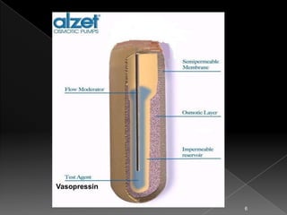 Vasopressin

              6
 