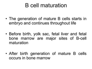 • The generation of mature B cells starts in
embryo and continues throughout life
• Before birth, yolk sac, fetal liver and fetal
bone marrow are major sites of B-cell
maturation
• After birth generation of mature B cells
occurs in bone marrow
B cell maturation
 