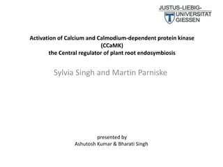 Activation of Calcium and Calmodium-dependent protein kinase
(CCaMK)
the Central regulator of plant root endosymbiosis
Sylvia Singh and Martin Parniske
presented by
Ashutosh Kumar & Bharati Singh
 