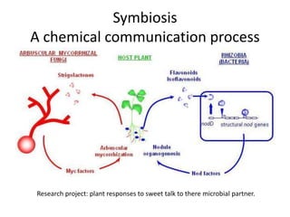 Activation of calcium and calmodulin dependent protein | PPTX