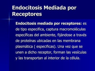 Endocitosis Mediada por Receptores Endocitosis mediada por receptores:  es de tipo especifica, captura macromoléculas específicas del ambiente, fijándose a través de proteínas ubicadas en las membrana plasmática ( especificas). Una vez que se unen a dicho receptor, forman las vesículas y las transportan al interior de la célula.  