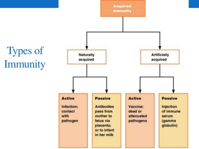 active and passive immunity types of immunity