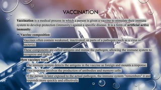 active and passive immunity and the mechanism of action | PPTX