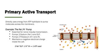 ACTIVE AND PASSIVE TRANSPORT AND IT'S TYPES.pptx