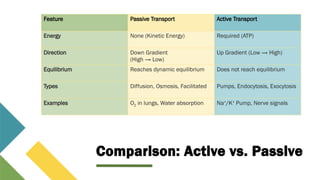 ACTIVE AND PASSIVE TRANSPORT AND IT'S TYPES.pptx