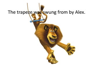 The trapeze was swung from by Alex.
 