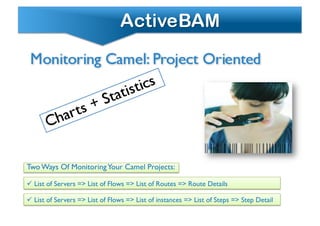  List of Servers => List of Flows => List of Routes => Route Details	

Two Ways Of MonitoringYour Camel Projects:	

 List of Servers => List of Flows => List of instances => List of Steps => Step Detail	

 