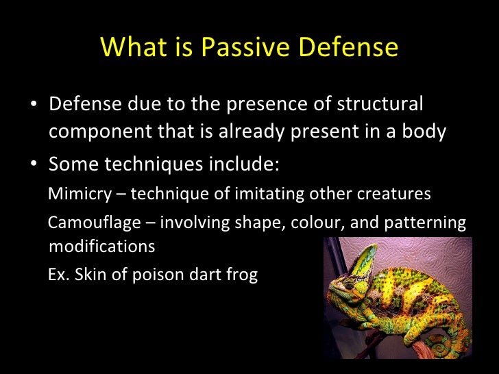 Active Defense and Predator Specialization