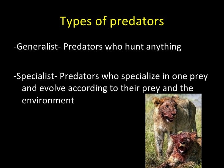 Active Defense and Predator Specialization