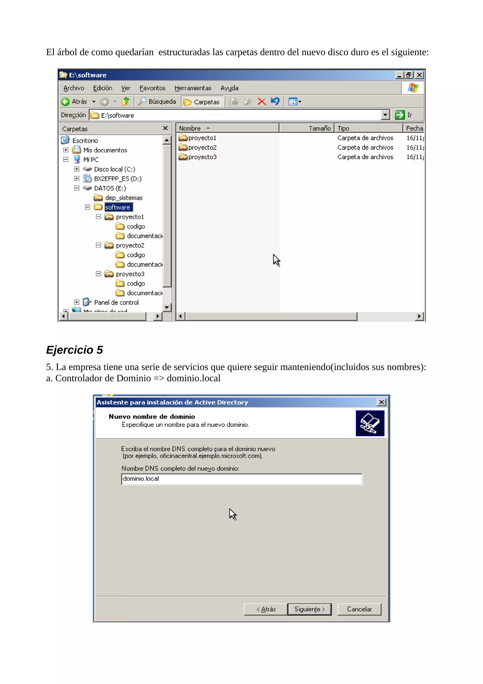 El árbol de como quedarían estructuradas las carpetas dentro del nuevo disco duro es el siguiente:




Ejercicio 5
5. La empresa tiene una serie de servicios que quiere seguir manteniendo(incluidos sus nombres):
a. Controlador de Dominio => dominio.local
 