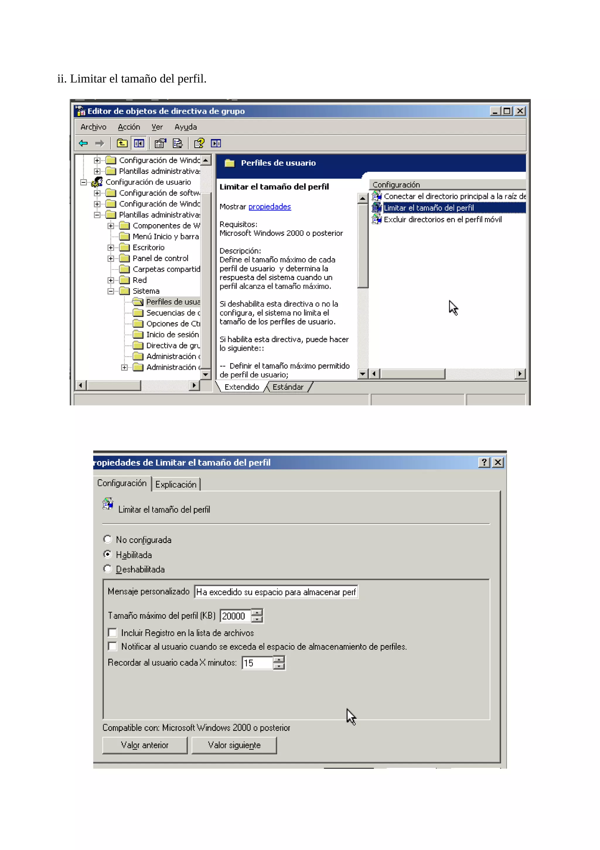 ii. Limitar el tamaño del perfil.
 