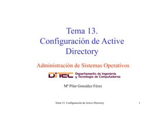 Tema 13Tema 13.
Configuración de Activeg
Directory
Administración de Sistemas Operativos
Mª Pilar González Férez
Tema 13. Configuración de Active Directory 1
 