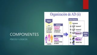 COMPONENTES
FÍSICOS Y LÓGICOS
 