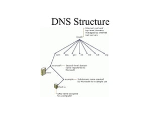 DNS Structure

 