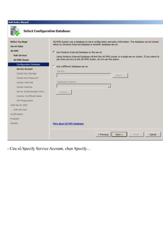 Active directory rights management services | DOCX