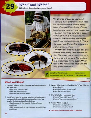29 What? and Which?
Which of them is the queen bee?
W h a t kinds of bees do you know?
There are many different kinds of bees,
but which bees make honey? Honey
bees, of course! Every family of honey
bees has one - and only one - queen bee.
Look at the three pictures of bees.
Which of them is the queen? Look
carefully. Which one has the longest
body? "Yes, the bee in picture 2. This is
the queen bee. Picture 1 is a drone and
picture 3 is a worker.
W h a t work does the queen do? She
doesn't make honey - the workers do
^ that. The queen bee is the mother of all
the drones and workers. The workers
give special food to the queen. What
/ food is this? It is called 'royal jelly'and
S only queen bees eat it.
q C o m p l e t e t h e sentence makes honey.
H | a T h e w o r k e r bee b The d r o n e c The queen bee
What? and Which?
1 Use both What or Which + singular and plural nouns t o
ask questions.
What colour is a honey bee?
Which bees are dangerous ?
What food does a queen bee eat?
2 Use What + noun f o r general questions w h e n t h e r e are
many possibilities, and Which + noun w h e n t h e r e is a
small or l i m i t e d n u m b e r o f possibilities.
What language do they speak in Timbuktu?(many
possibilities)
Which language shall we use -Japanese or English?(two
possibilities)
E M3MSliy
3 W e say What time... ?, What kind(s) of... ? and What size...?
What time is it?
What kinds of bees do you know?
What size are these jeans ?
4 Use Which of... + pronoun or the.
Which of them is the queen?
Which of the answers do you know?
5 W e say Which one(s)...?
Which one would you like?
Which ones are worker bees ?
• See Unit 27 for how to make What...?questions.
72
 