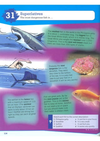 Cambridge Active grammar 2 (B1-B2)