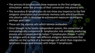 • The primary B-lymphocytes show response to the first antigenic
stimulation enter the process of their conversion into plasma cells.
• The secondary B-lymphocytes do not show any response to the first
antigenic stimulation and constitute memory cells which transform
into plasma cells in response to subsequent exposure to antigens,
perhaps years later.
• These are the plasma cells which secrete antibodies.
• Once thought to be totally independent system, the conversion of
immunologically competent B- lymphocytes into antibody producing
plasma cells is cooperated by helper T-lymphocytes (helper T-cells).
An antigen with at-least two different antigenic determinants first
attaches on the surface of a macrophage cell which then migrates to
lymphatic tissues and interact with helper T-lymphocyte.
 