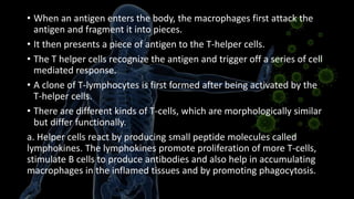 • When an antigen enters the body, the macrophages first attack the
antigen and fragment it into pieces.
• It then presents a piece of antigen to the T-helper cells.
• The T helper cells recognize the antigen and trigger off a series of cell
mediated response.
• A clone of T-lymphocytes is first formed after being activated by the
T-helper cells.
• There are different kinds of T-cells, which are morphologically similar
but differ functionally.
a. Helper cells react by producing small peptide molecules called
lymphokines. The lymphokines promote proliferation of more T-cells,
stimulate B cells to produce antibodies and also help in accumulating
macrophages in the inflamed tissues and by promoting phagocytosis.
 