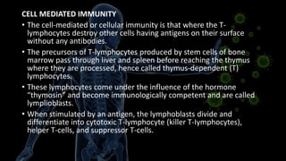 CELL MEDIATED IMMUNITY
• The cell-mediated or cellular immunity is that where the T-
lymphocytes destroy other cells having antigens on their surface
without any antibodies.
• The precursors of T-lymphocytes produced by stem cells of bone
marrow pass through liver and spleen before reaching the thymus
where they are processed, hence called thymus-dependent (T)
lymphocytes.
• These lymphocytes come under the influence of the hormone
“thymosin” and become immunologically competent and are called
lymplioblasts.
• When stimulated by an antigen, the lymphoblasts divide and
differentiate into cytotoxic T-lymphocyte (killer T-Iymphocytes),
helper T-cells, and suppressor T-cells.
 