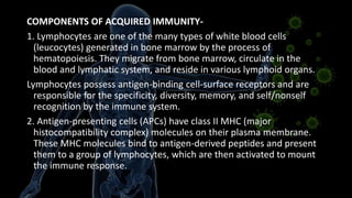 COMPONENTS OF ACQUIRED IMMUNITY-
1. Lymphocytes are one of the many types of white blood cells
(leucocytes) generated in bone marrow by the process of
hematopoiesis. They migrate from bone marrow, circulate in the
blood and lymphatic system, and reside in various lymphoid organs.
Lymphocytes possess antigen-binding cell-surface receptors and are
responsible for the specificity, diversity, memory, and self/nonself
recognition by the immune system.
2. Antigen-presenting cells (APCs) have class II MHC (major
histocompatibility complex) molecules on their plasma membrane.
These MHC molecules bind to antigen-derived peptides and present
them to a group of lymphocytes, which are then activated to mount
the immune response.
 