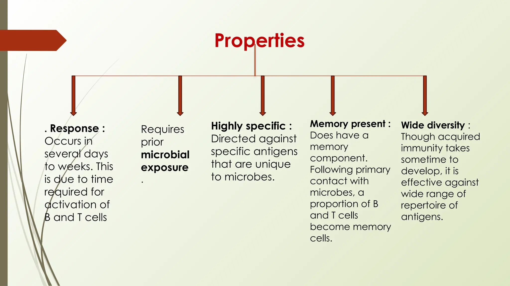 Properties
. Response :
Occurs in
several days
to weeks. This
is due to time
required for
activation of
B and T cells
Requires
prior
microbial
exposure
.
Highly specific :
Directed against
specific antigens
that are unique
to microbes.
Memory present :
Does have a
memory
component.
Following primary
contact with
microbes, a
proportion of B
and T cells
become memory
cells.
Wide diversity :
Though acquired
immunity takes
sometime to
develop, it is
effective against
wide range of
repertoire of
antigens.
 