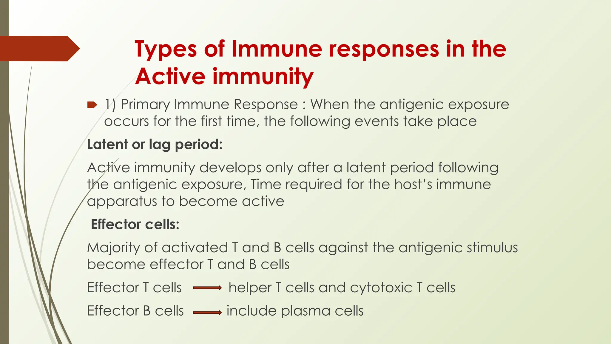 Types of Immune responses in the
Active immunity
🠶 1) Primary Immune Response : When the antigenic exposure
occurs for the first time, the following events take place
Latent or lag period:
Active immunity develops only after a latent period following
the antigenic exposure, Time required for the host’s immune
apparatus to become active
Effector cells:
Majority of activated T and B cells against the antigenic stimulus
become effector T and B cells
Effector T cells helper T cells and cytotoxic T cells
Effector B cells include plasma cells
 