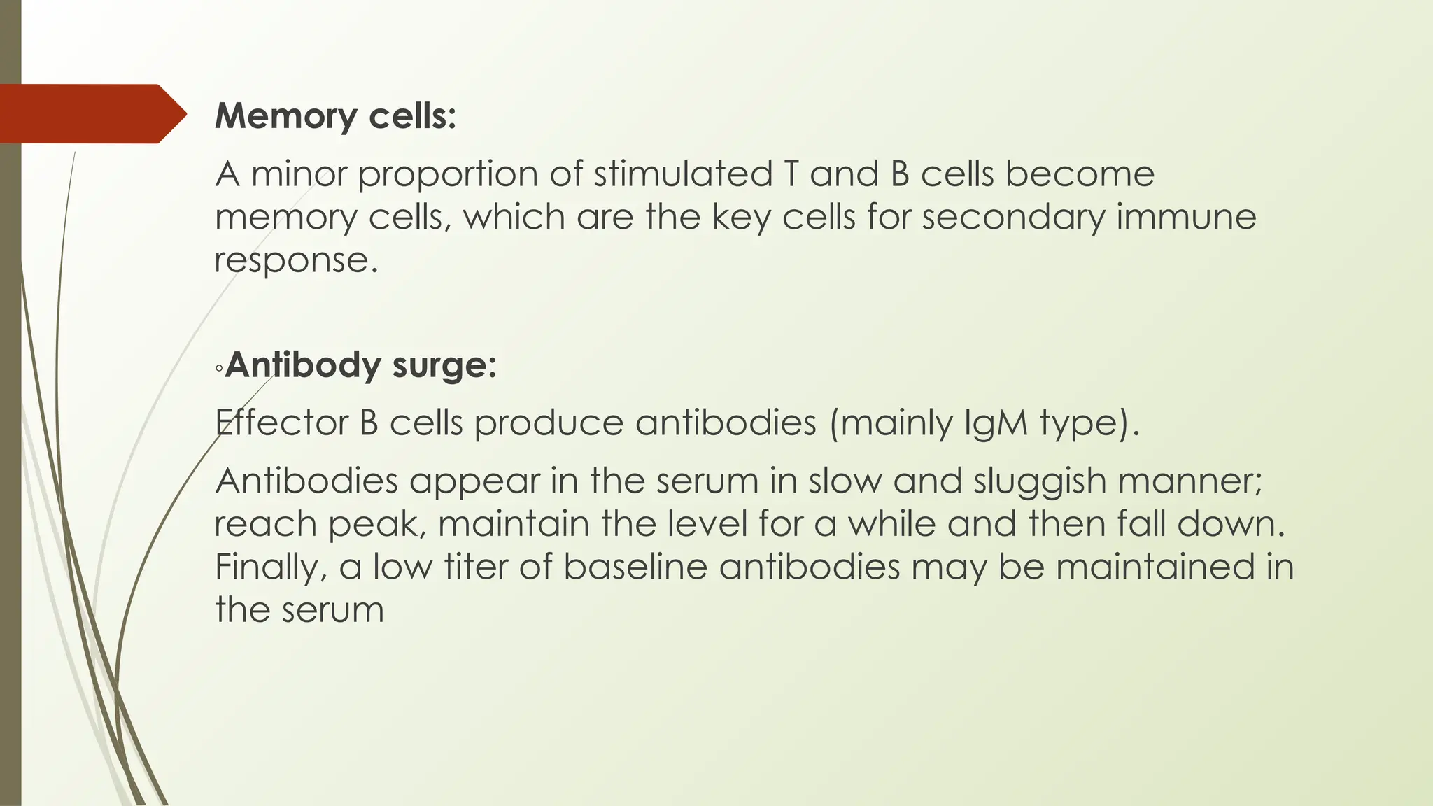 Memory cells:
A minor proportion of stimulated T and B cells become
memory cells, which are the key cells for secondary immune
response.
◦Antibody surge:
Effector B cells produce antibodies (mainly IgM type).
Antibodies appear in the serum in slow and sluggish manner;
reach peak, maintain the level for a while and then fall down.
Finally, a low titer of baseline antibodies may be maintained in
the serum
 
